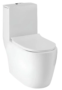 Vaso Sanitário Monobloco Amazonita Branco Pingoo Casa